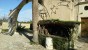 San Lussorio | Martire - presepe_san_lussorio_2016
